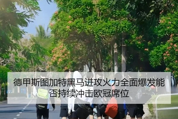 德甲斯图加特黑马进攻火力全面爆发能否持续冲击欧冠席位