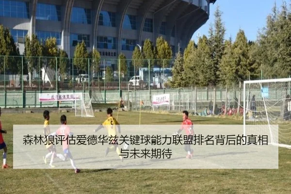 森林狼评估爱德华兹关键球能力联盟排名背后的真相与未来期待