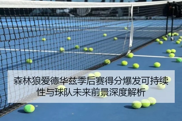 森林狼爱德华兹季后赛得分爆发可持续性与球队未来前景深度解析